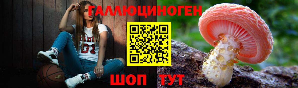 Ипатово  где продают наркотики  Вход с VPN  Галлюциногенные грибы GOLDEN TEACHER 